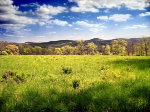 Green field while hiking - Ford dealer