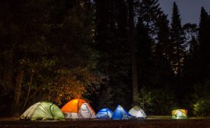 Tents in Forest During The Night