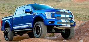 Shelby Ford F150 truck