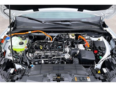 2026 Ford Escape ST-Line Select