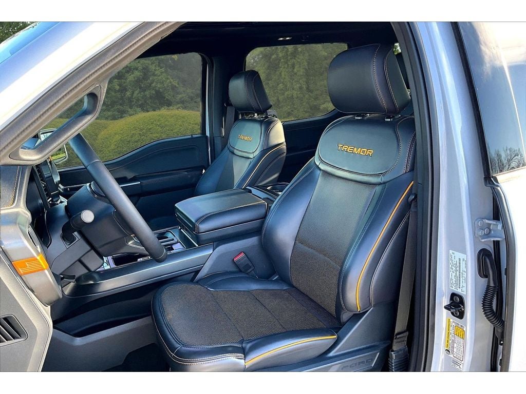 2025 Ford F-150 Tremor
