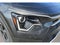 2025 Kia Niro LX