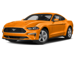 2019 Ford Mustang in Morrison, TN