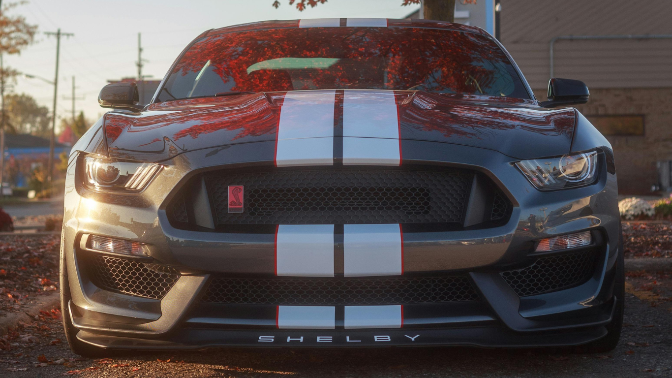 Shelby Mustang in Morrison, TN - Reddick Brown Ford